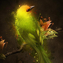 访问控制的ddos攻击