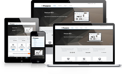 即时发货的网站攻击测试