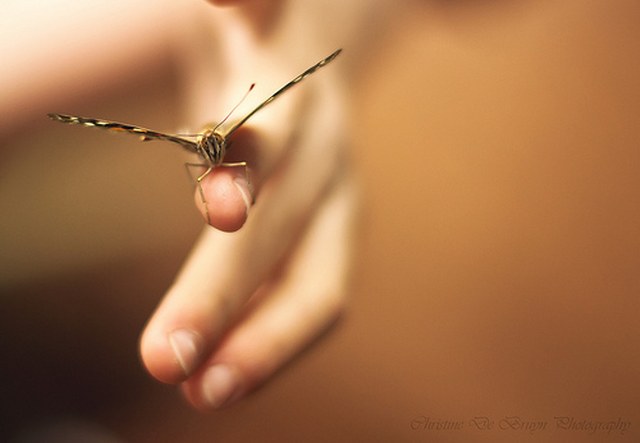 网页在线DDOS压力测试